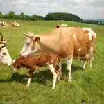 Baby- Und Kinderhof Aicherbauer Bauernhof Seeham