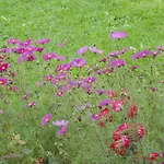 Baby- Und Kinderhof Aicherbauer *