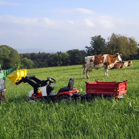 Baby- Und Kinderhof Aicherbauer Farm stay