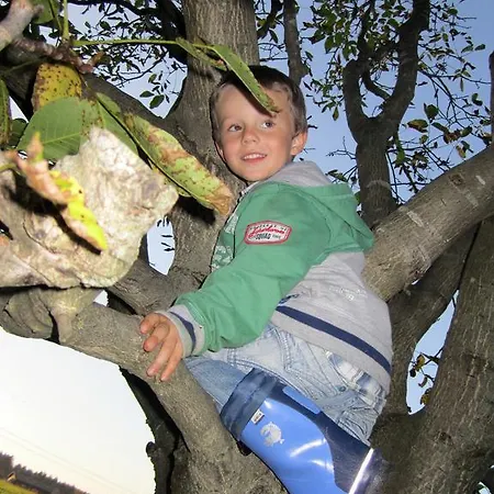 Farm stay Baby- Und Kinderhof Aicherbauer