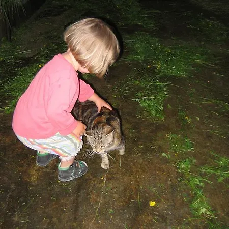 Farm stay Baby- Und Kinderhof Aicherbauer Seeham