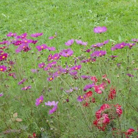 Baby- Und Kinderhof Aicherbauer *