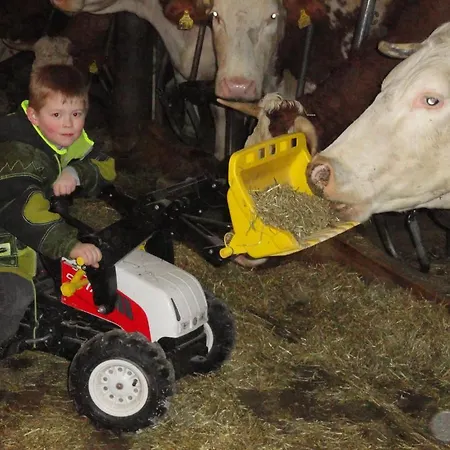 Baby- Und Kinderhof Aicherbauer Farm stay Seeham
