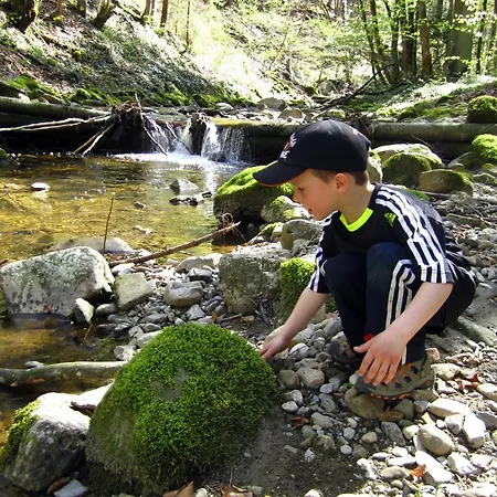 Baby- Und Kinderhof Aicherbauer Farm stay *