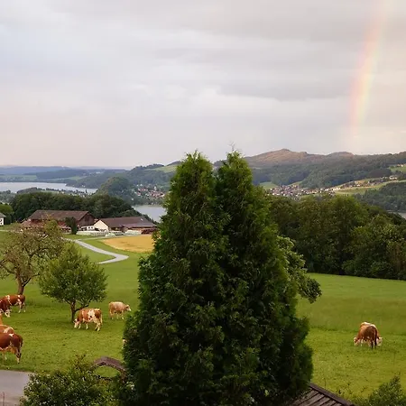 Baby- Und Kinderhof Aicherbauer *