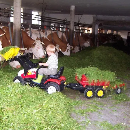 Baby- Und Kinderhof Aicherbauer * Seeham