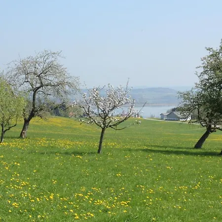 Baby- Und Kinderhof Aicherbauer *