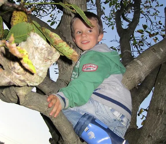 Farmház Baby- Und Kinderhof Aicherbauer
