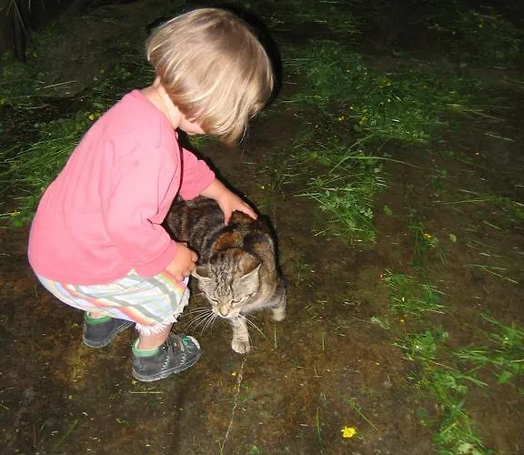 Farmház Baby- Und Kinderhof Aicherbauer Seeham
