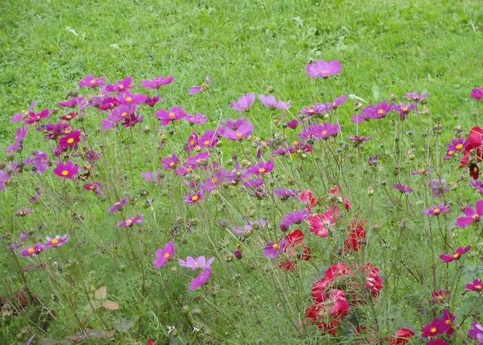 Baby- Und Kinderhof Aicherbauer *