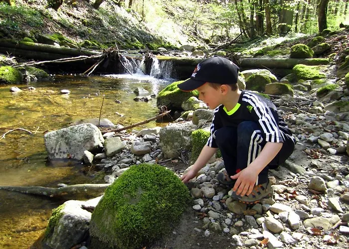 Baby- Und Kinderhof Aicherbauer Farmház *