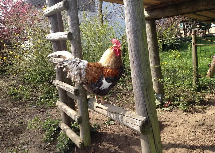 Farmház Baby- Und Kinderhof Aicherbauer *