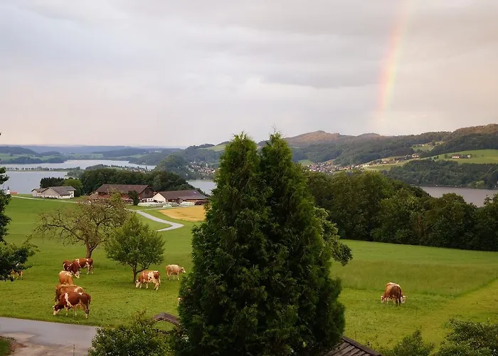 Baby- Und Kinderhof Aicherbauer *