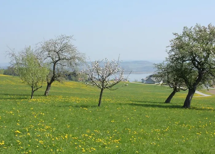 Baby- Und Kinderhof Aicherbauer *